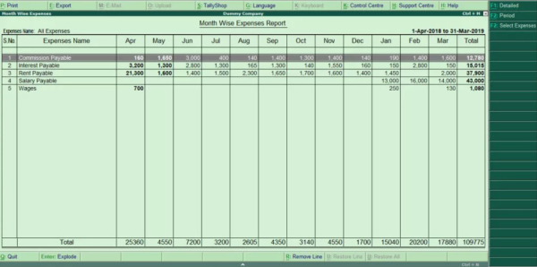 Month Wise Income and Expenses Report for Tally.ERP 9 – Tally Data ...